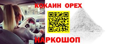 прущие грибы Будённовск