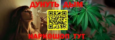 прущие грибы Будённовск