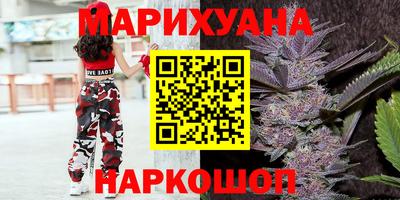 прущие грибы Будённовск