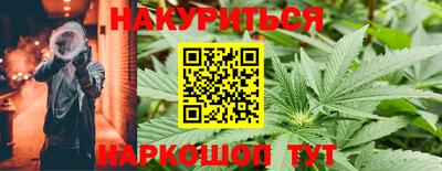 прущие грибы Будённовск
