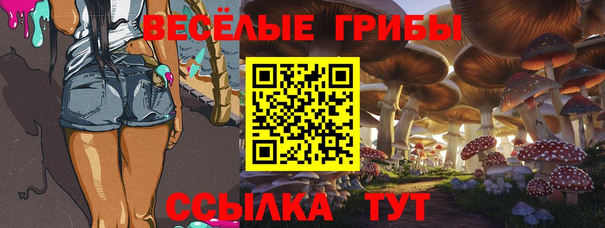 Псилоцибиновые грибы Psilocybine cubensis  Вход с VPN  Строитель 